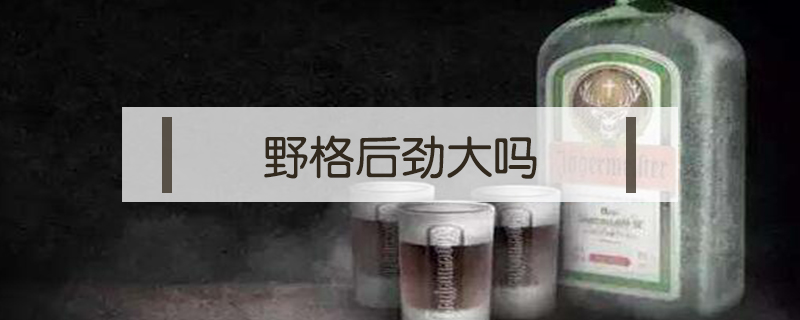 野格后勁大嗎