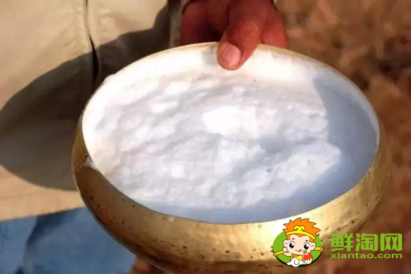 老人喝駱駝奶好嗎,新彊的駝駱奶的質(zhì)量好不好