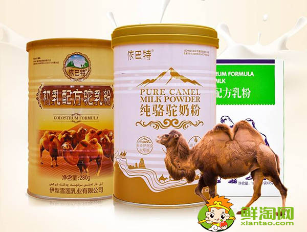 駱駝奶每天喝多少合適，發(fā)酵駱駝奶一天喝多少