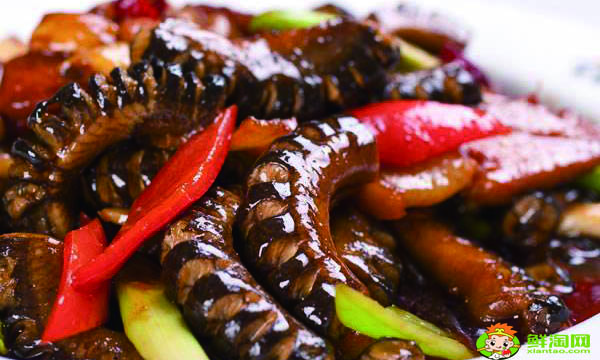 人工養殖黃鱔最佳餌料是什么,人工養殖黃鱔的時間周期是多久