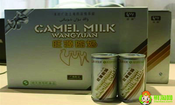 駱駝奶比牛奶好嗎，駱駝奶粉和牛奶粉有什么區別