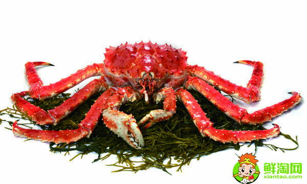 阿拉斯加帝王蟹產(chǎn)地，帝王蟹哪里產(chǎn)地最貴