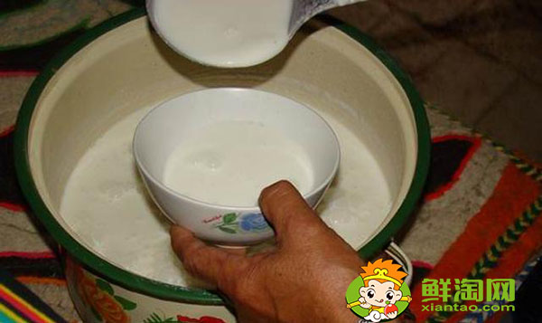 駱駝奶粉一天喝幾次好，駱駝奶粉一次喝多少克