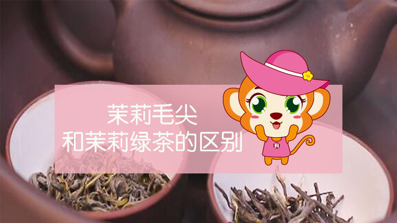 茉莉毛尖和茉莉綠茶的區別