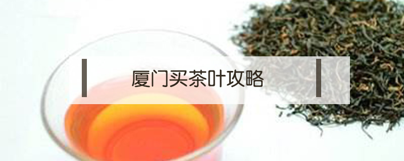 廈門買茶葉攻略