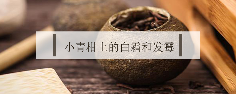 小青柑上的白霜和發霉