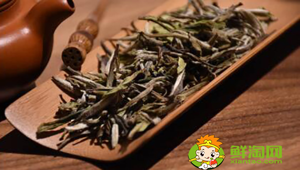 白牡丹散茶好還是茶餅好,白牡丹壽眉茶餅茶那個好