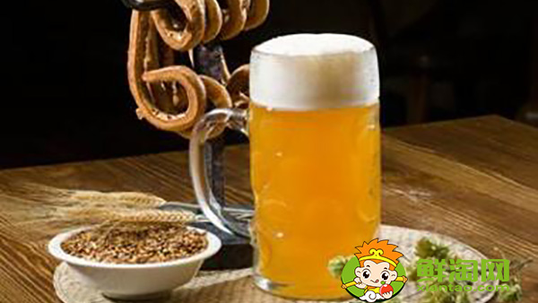 無醇啤酒有哪些牌子，經(jīng)常喝無醇啤酒的危害