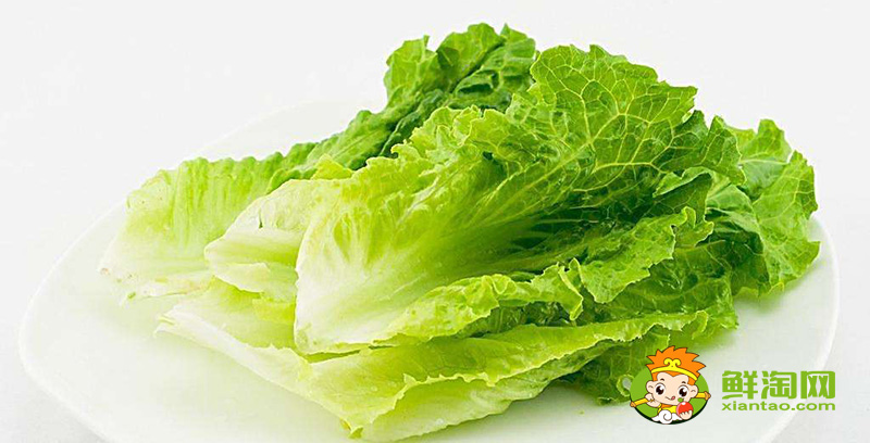 生菜可以生吃嗎,生菜的種植方法和時(shí)間