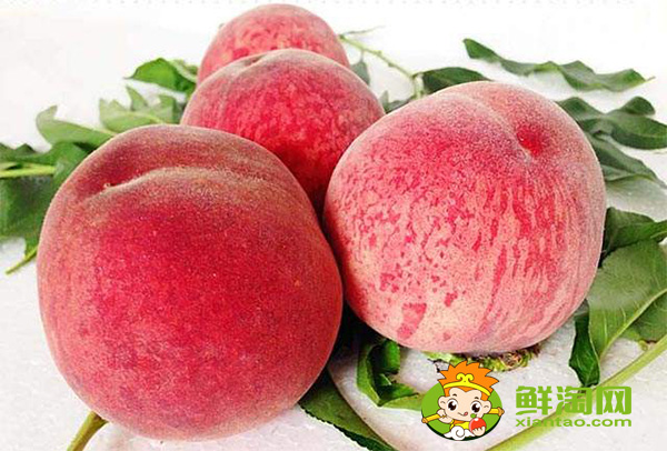 桃子最甜的品種有幾種，中國最甜的桃子含糖量