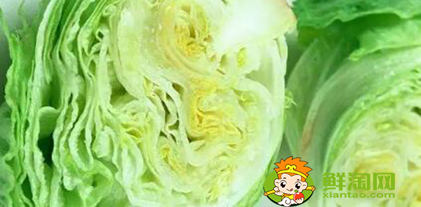 生菜可以烤嗎，團生菜的功效與作用