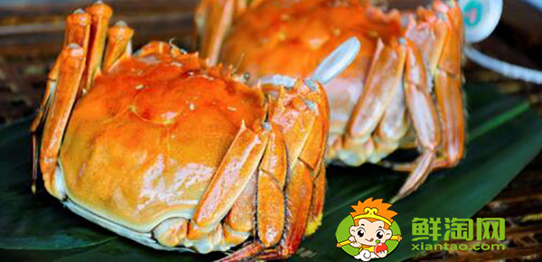 陽(yáng)澄湖大閘蟹上市季節(jié)，陽(yáng)澄湖大閘蟹什么時(shí)候最好吃