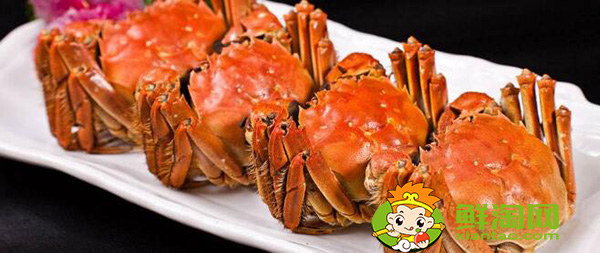 梁子湖大閘蟹什么時候吃,梁子湖大閘蟹季節(jié)