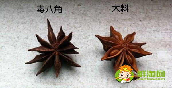 和八角味道一樣的香料是什么，毒八角和大料的區(qū)別