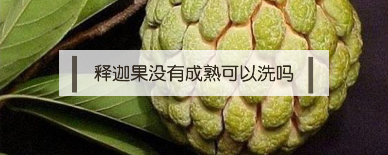 釋迦果沒有成熟可以洗嗎