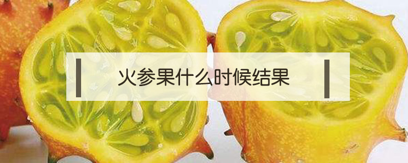 火參果什么時候結(jié)果