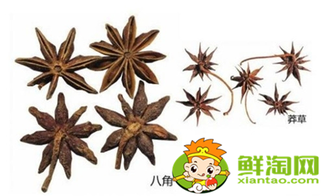 怎樣辨別八角是沒(méi)有用過(guò)的,如何鑒別八角品質(zhì)