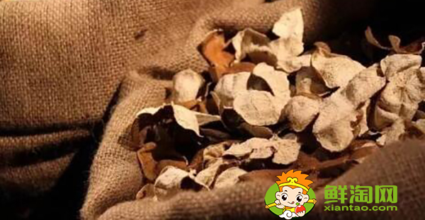 正宗的陳皮產在哪里，最正宗的新會陳皮產區