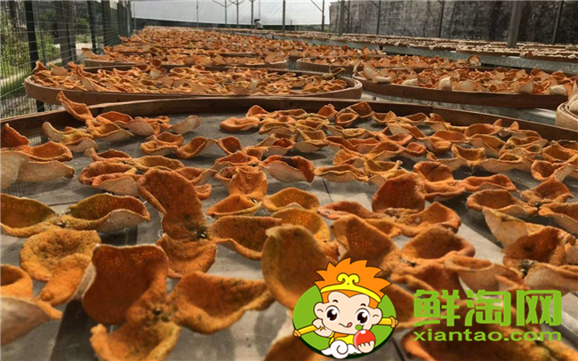 哪里能買到正宗新會陳皮，新會陳皮核心產地