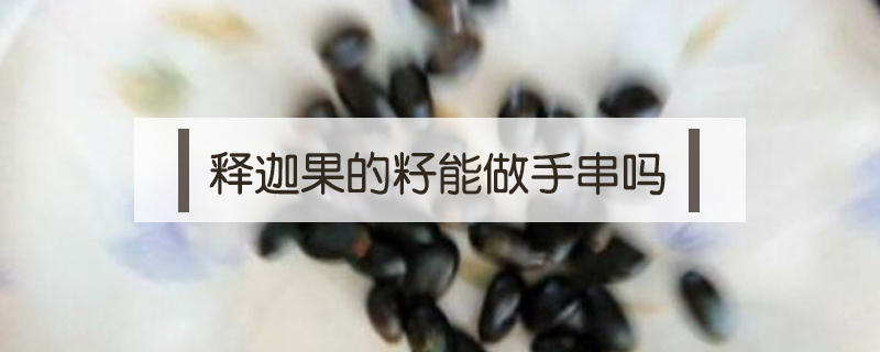 釋迦果的籽能做手串嗎