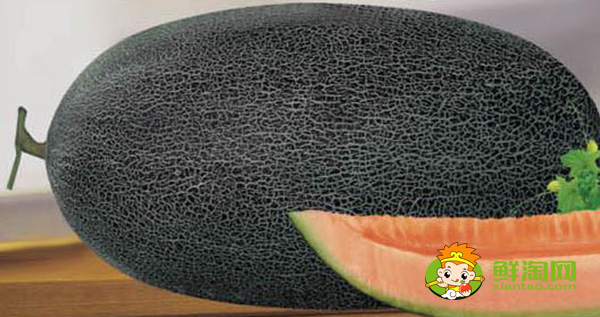 伽師瓜的吃法，伽師瓜都有哪些品種