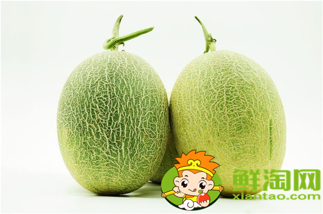 沙漠密瓜和哈密瓜有什么區別，沙漠密瓜的功效與作用