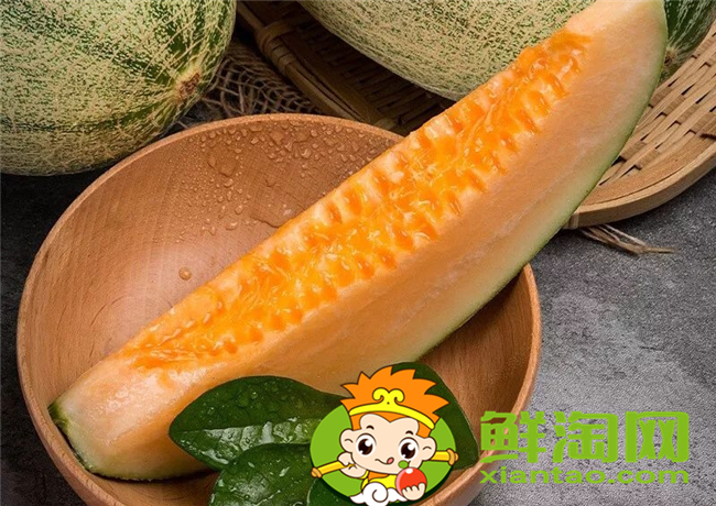 沙漠密瓜來自哪,什么地方的沙漠瓜最好