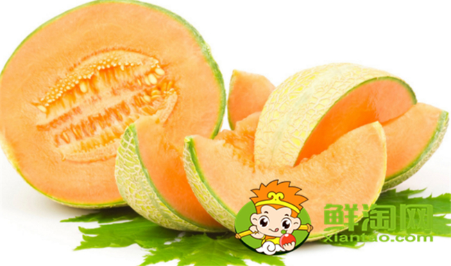 沙漠蜜瓜是哈密瓜嗎,沙漠蜜瓜是熱性還是涼性