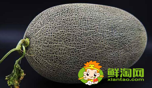 伽師瓜當(dāng)?shù)厝私惺裁?，巴楚留香瓜與伽師瓜的區(qū)別