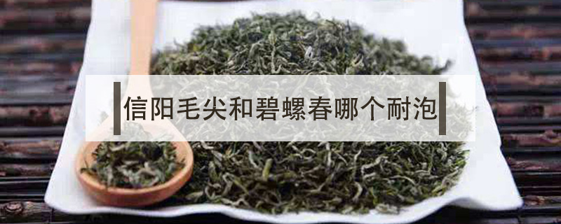 信陽毛尖和碧螺春哪個耐泡