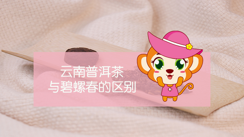 云南普洱茶與碧螺春的區(qū)別