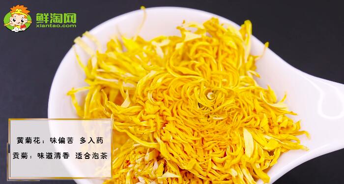 黃菊花與貢菊的區(qū)別