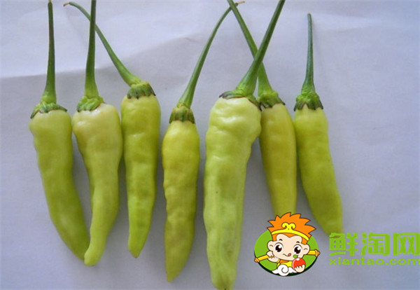 泡椒鳳爪用什么辣椒,泡鳳爪太酸了加點什么好
