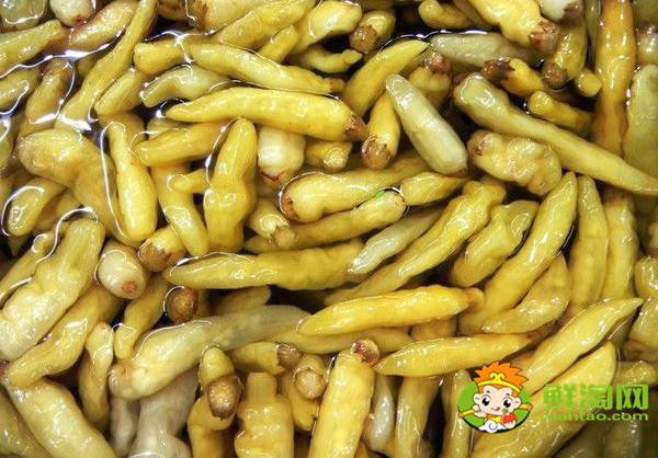 泡椒是什么，泡椒有幾個品種