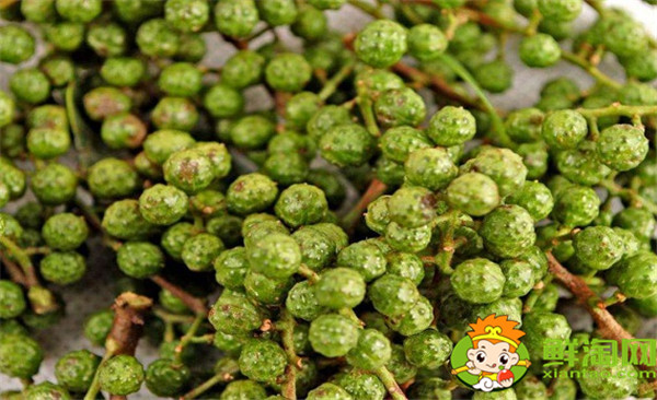 藤椒可以代替花椒嗎，藤椒樹和青花椒一樣嗎
