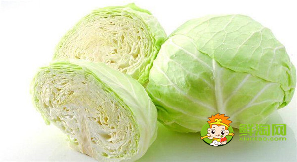 卷心菜做沙拉要焯水嗎，日式卷心菜絲是生的嗎