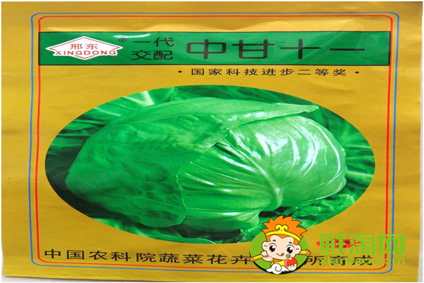 包菜哪個(gè)品種好，進(jìn)口包萊種子有哪些