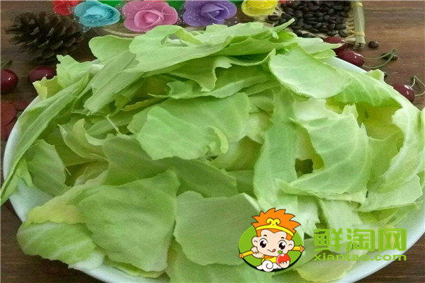 包菜哪個(gè)品種好，進(jìn)口包萊種子有哪些