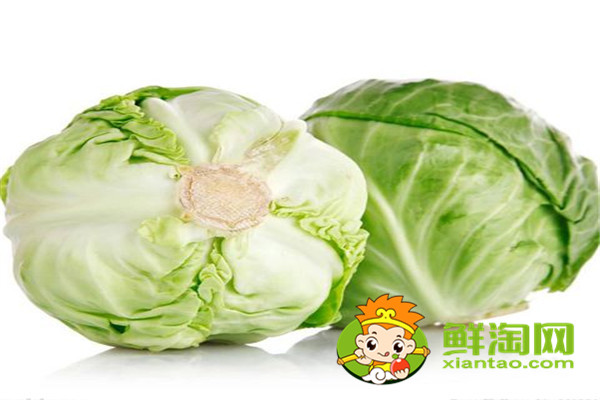手撕包菜買哪種包菜，包萊是生的好吃還是熟的好吃