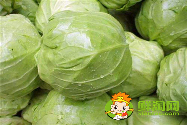 包萊怎么保存兩個(gè)月，包菜放冰箱兩個(gè)月還能吃嗎
