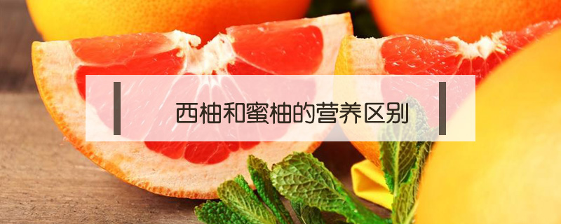 西柚和蜜柚的營(yíng)養(yǎng)區(qū)別