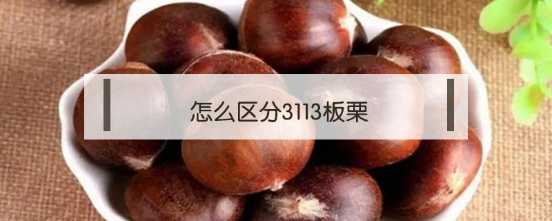 怎么區(qū)分3113板栗