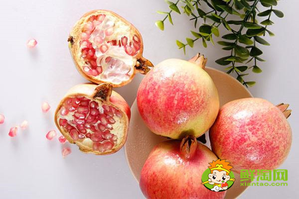 蒙自石榴會(huì)理石榴區(qū)別,蒙自石榴幾月份熟