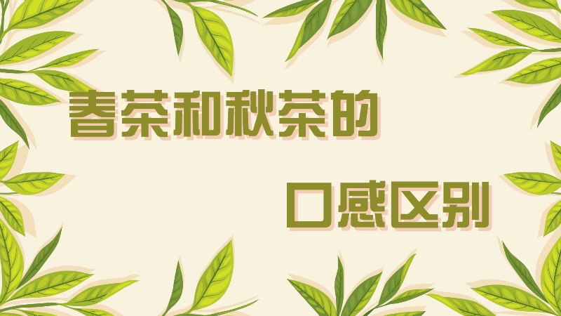 春茶和秋茶的口感區(qū)別
