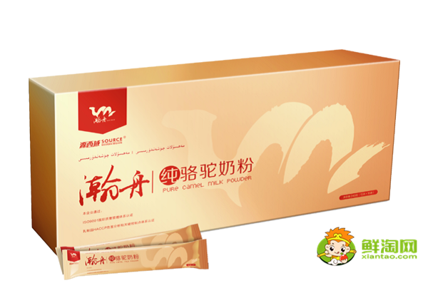 正宗的駱駝奶粉多少錢一斤，哪里能買到正宗的駱駝奶粉