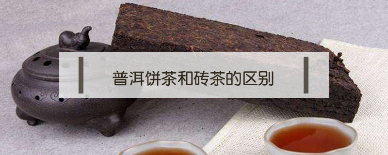 普洱餅茶和磚茶的區(qū)別