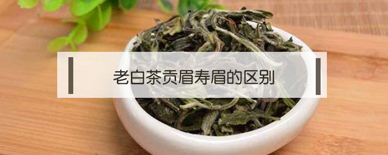老白茶貢眉壽眉的區(qū)別