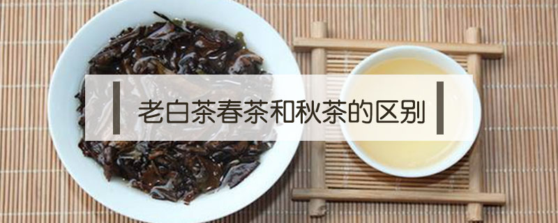 老白茶春茶和秋茶的區(qū)別