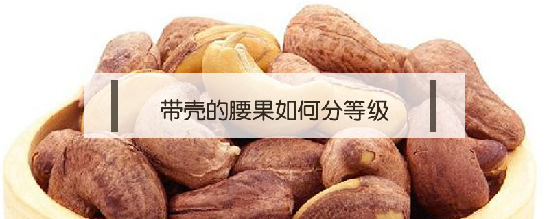 帶殼的腰果如何分等級(jí)