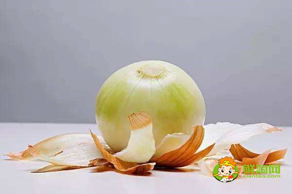 洋蔥沒熟吃了會怎么樣，洋蔥生吃好還是炒熟好